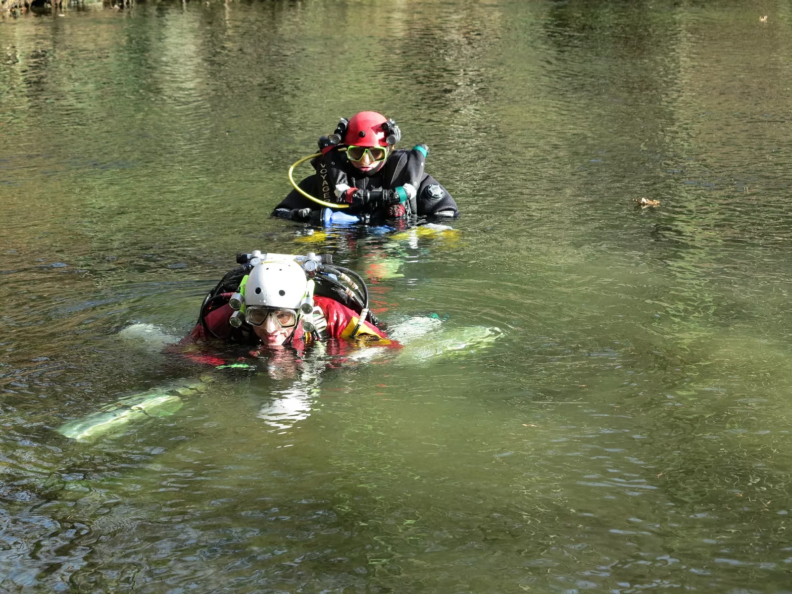 449 282 Taucher vorm Abtauchen 1600x1200